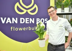 Daan Vermeer with Van den Bos Flowerbulbs' Royal Bounty is a new variety with large pure white flowers. It is a genetically shorter variety that needs minimal inhibitors.